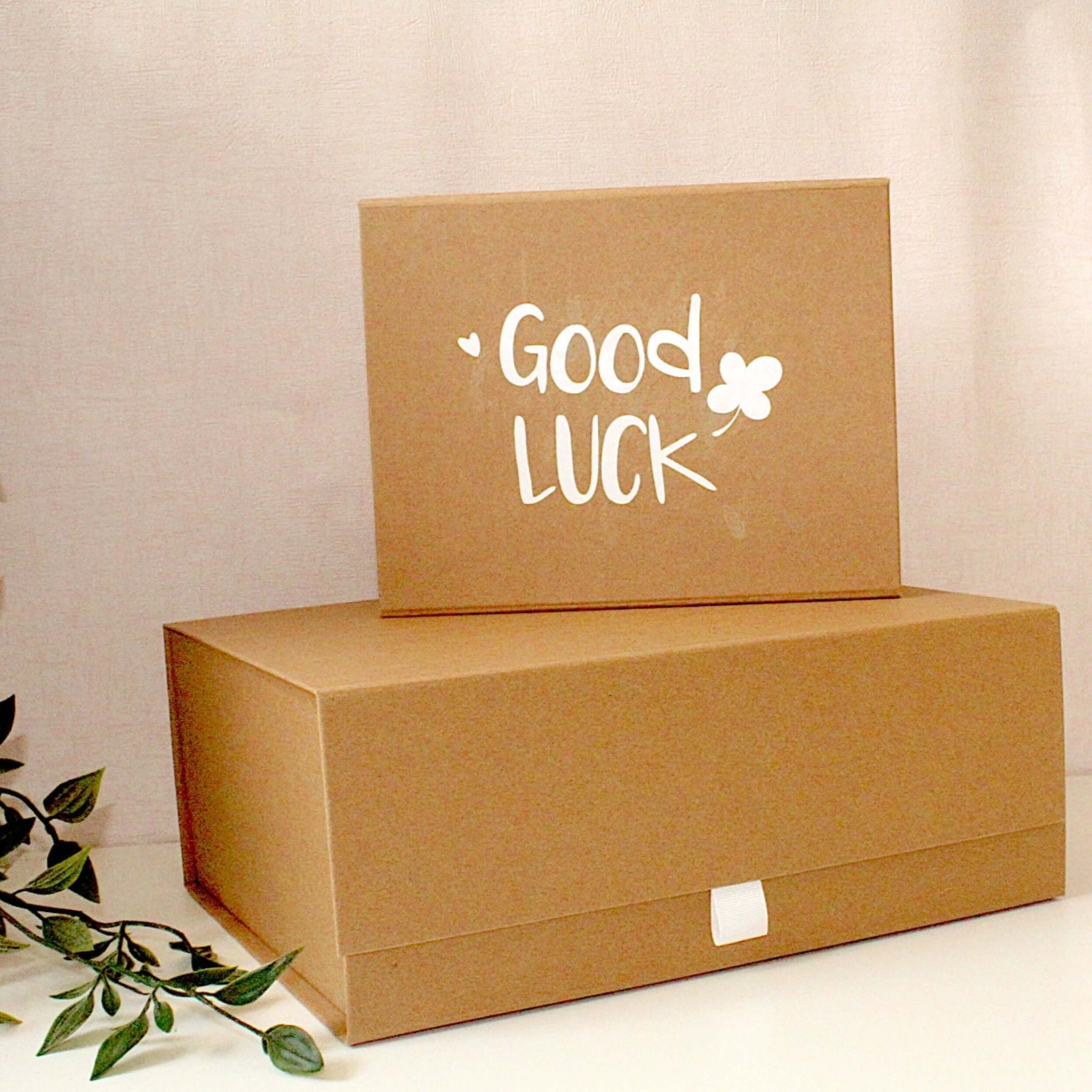 Good Luck Luxury Gift Box