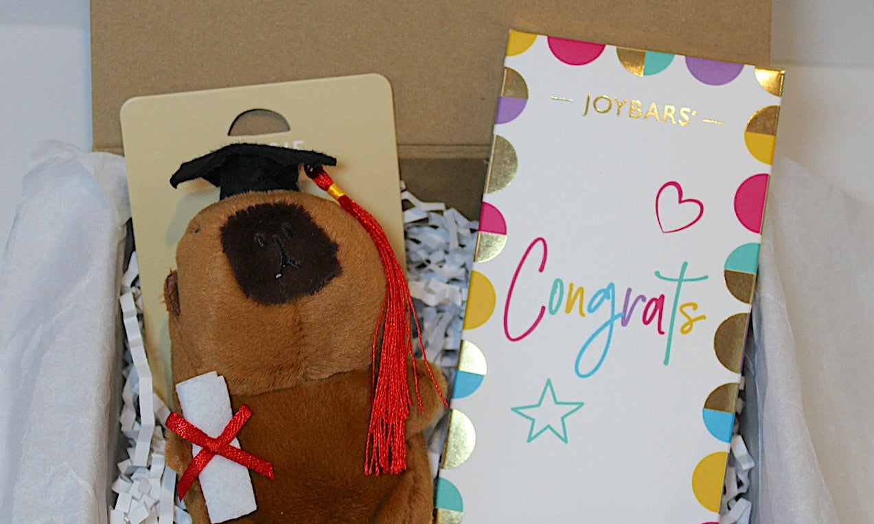 Plush Capybara Graduation charm with 80g Chocolate bar in Magnetic closure box 