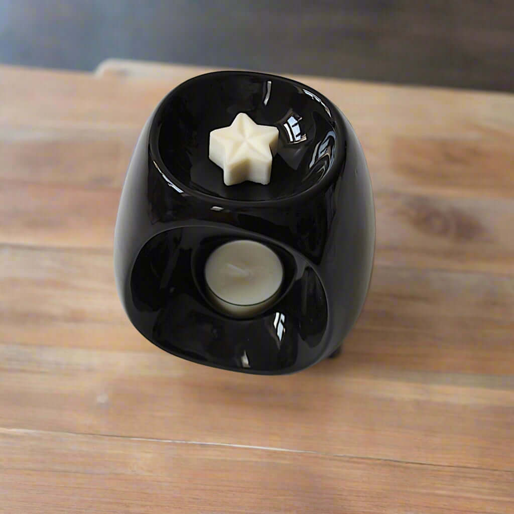 Paris Ceramic Wax Melter